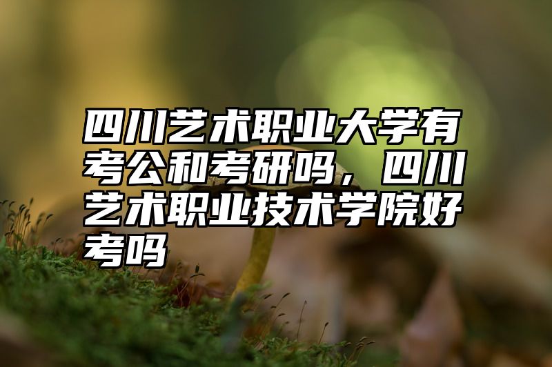 四川艺术职业大学有考公和考研吗，四川艺术职业技术学院好考吗