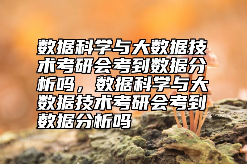 数据科学与大数据技术考研会考到数据分析吗，数据科学与大数据技术考研会考到数据分析吗