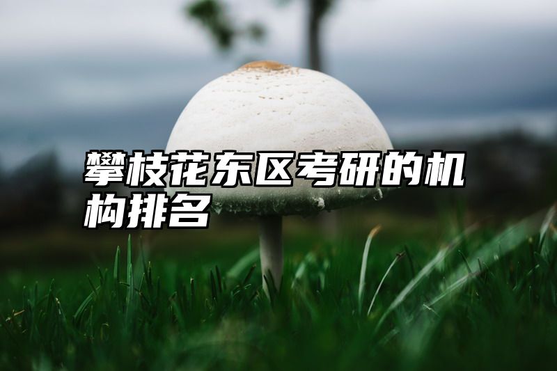 攀枝花东区考研的机构排名