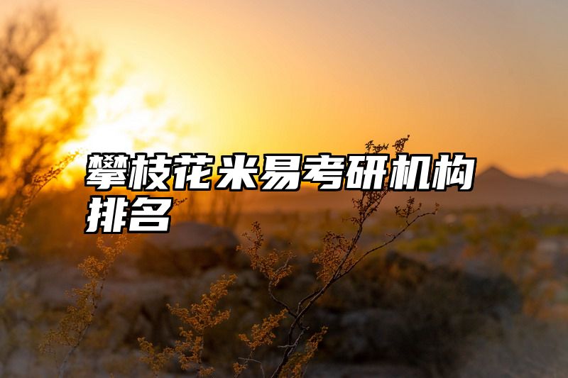 攀枝花米易考研机构排名