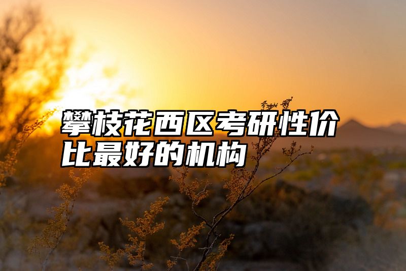 攀枝花西区考研性价比最好的机构