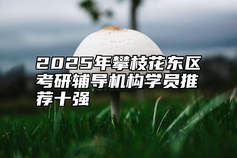 2025年攀枝花东区考研辅导机构学员推荐十强