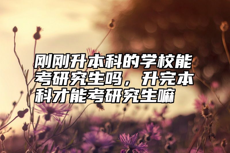 刚刚升本科的学校能考研究生吗，升完本科才能考研究生嘛
