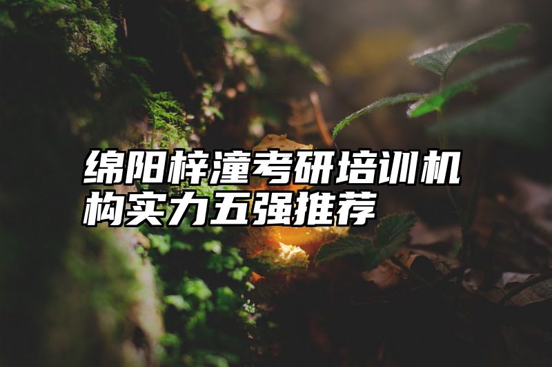 绵阳梓潼考研培训机构实力五强推荐