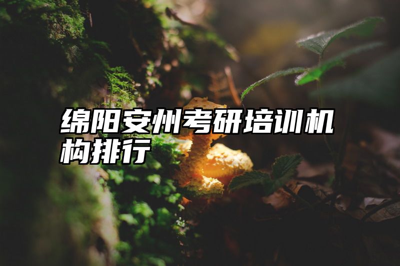 绵阳安州考研培训机构排行
