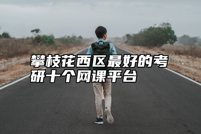 攀枝花西区最好的考研十个网课平台