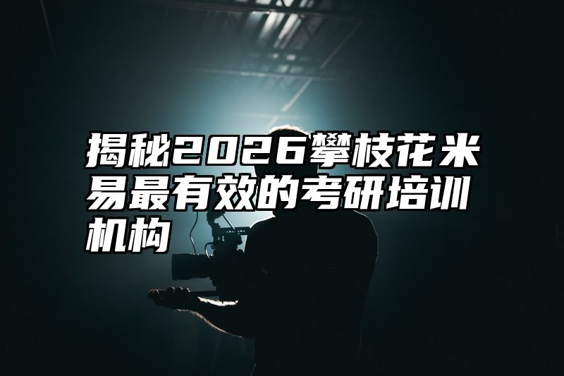 揭秘2026攀枝花米易最有效的考研培训机构