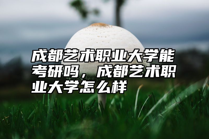 成都艺术职业大学能考研吗，成都艺术职业大学怎么样
