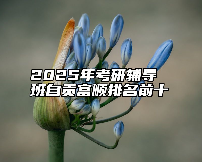 2025年考研辅导班自贡富顺排名前十