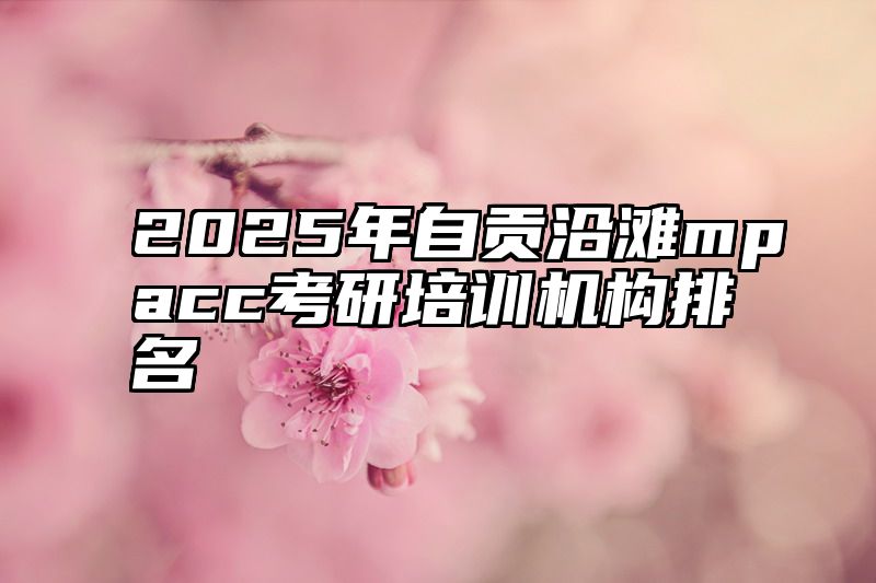 2025年自贡沿滩mpacc考研培训机构排名