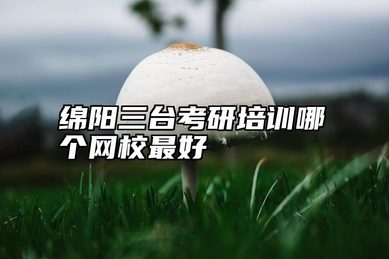 绵阳三台考研培训哪个网校最好