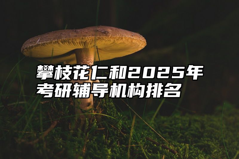 攀枝花仁和2025年考研辅导机构排名