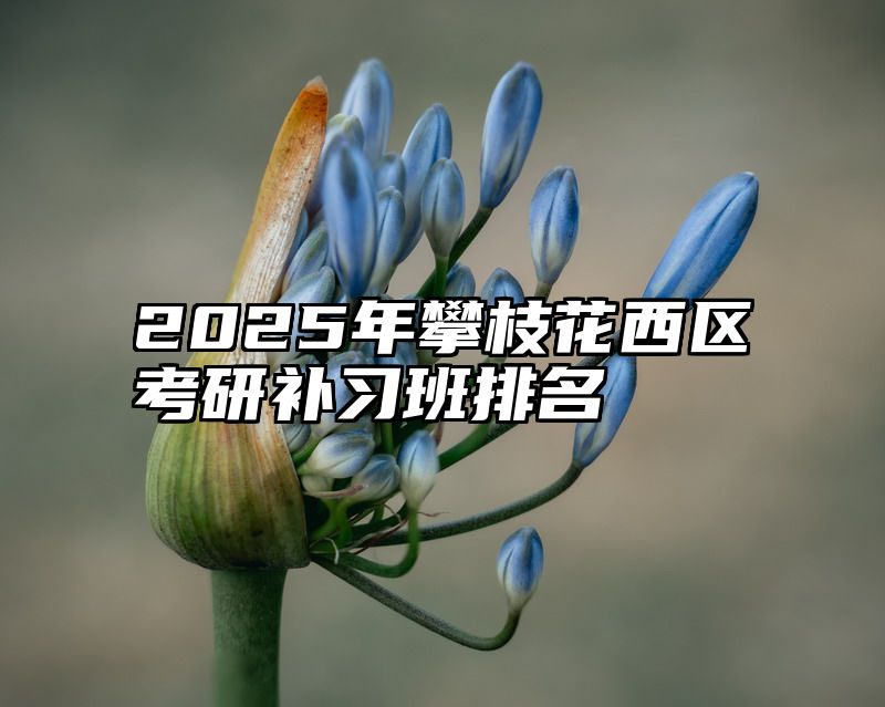 2025年攀枝花西区考研补习班排名