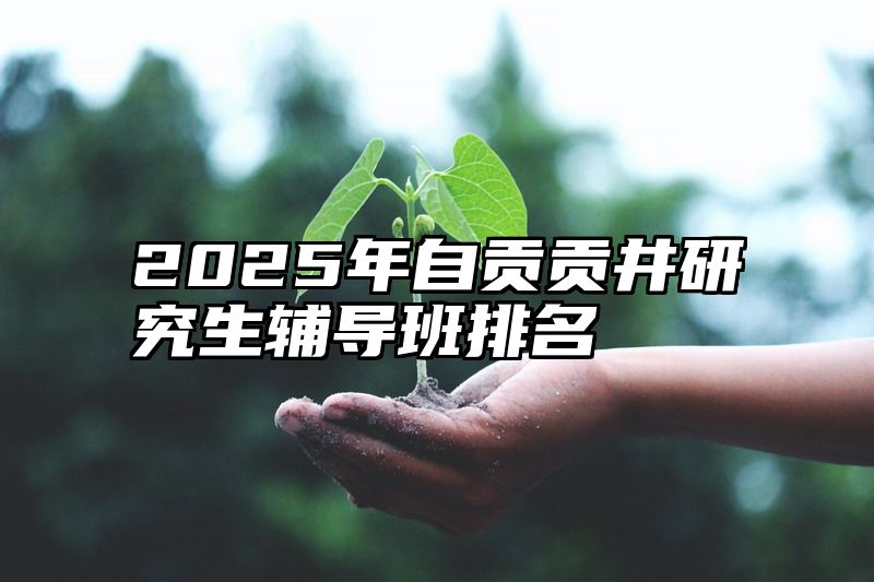 2025年自贡贡井研究生辅导班排名