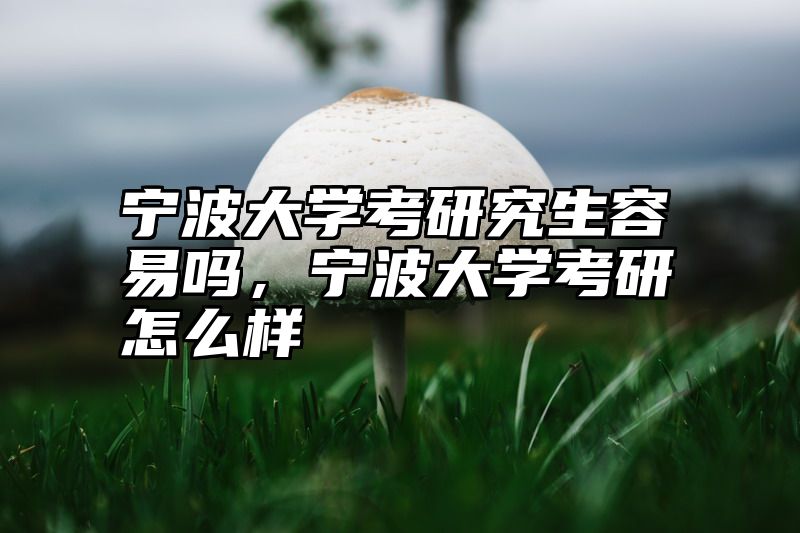 宁波大学考研究生容易吗，宁波大学考研怎么样