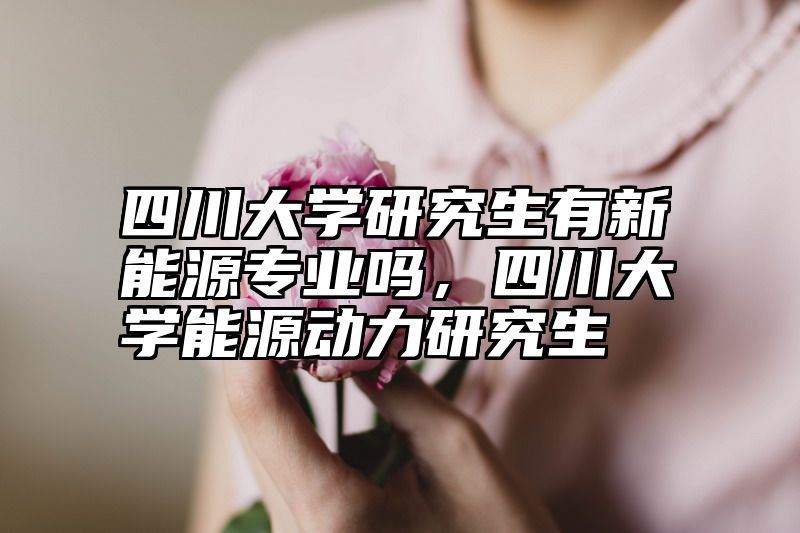 四川大学研究生有新能源专业吗，四川大学能源动力研究生
