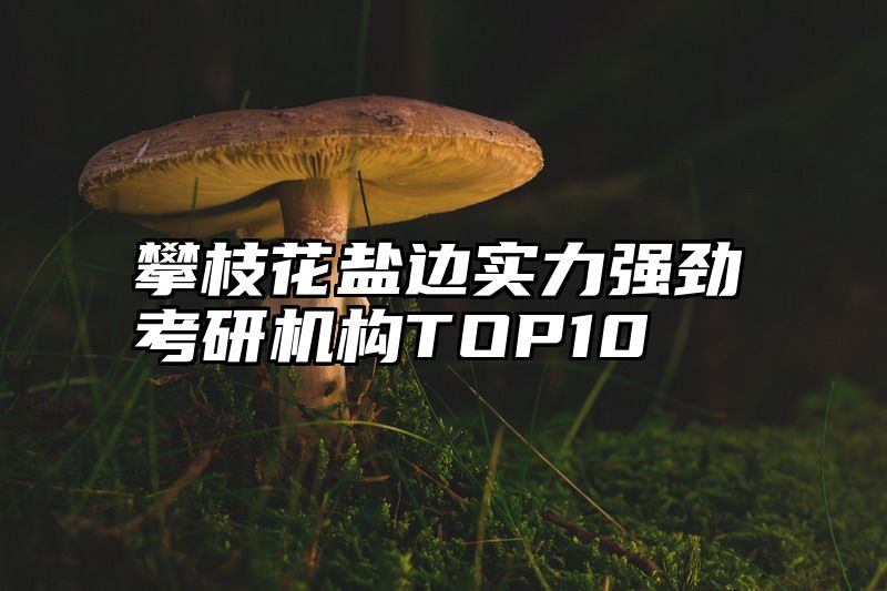 攀枝花盐边实力强劲考研机构TOP10