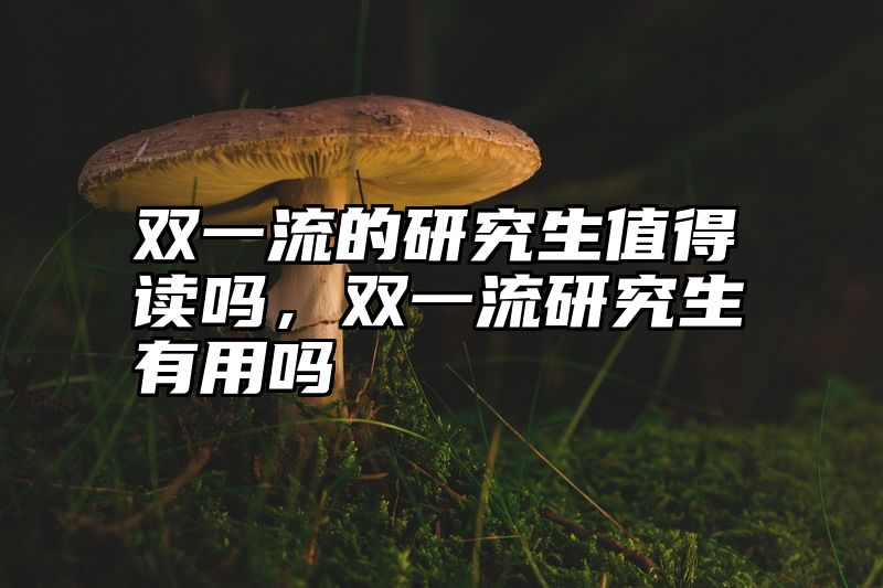 双一流的研究生值得读吗，双一流研究生有用吗