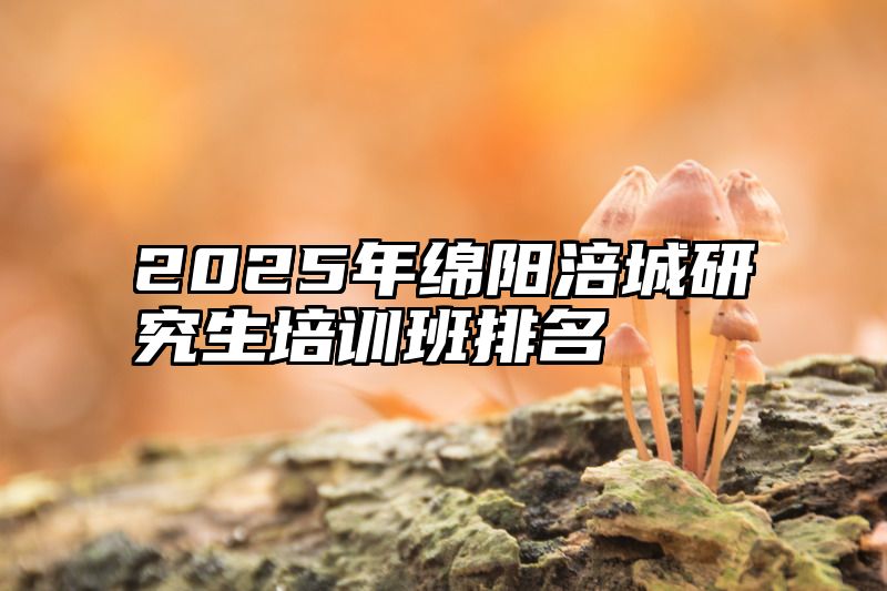 2025年绵阳涪城研究生培训班排名