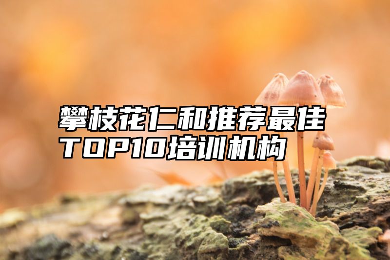 攀枝花仁和推荐最佳TOP10培训机构