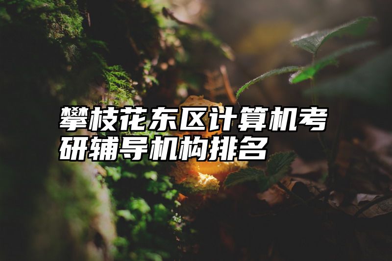攀枝花东区计算机考研辅导机构排名