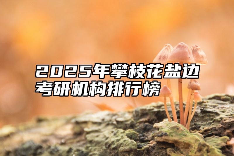 2025年攀枝花盐边考研机构排行榜