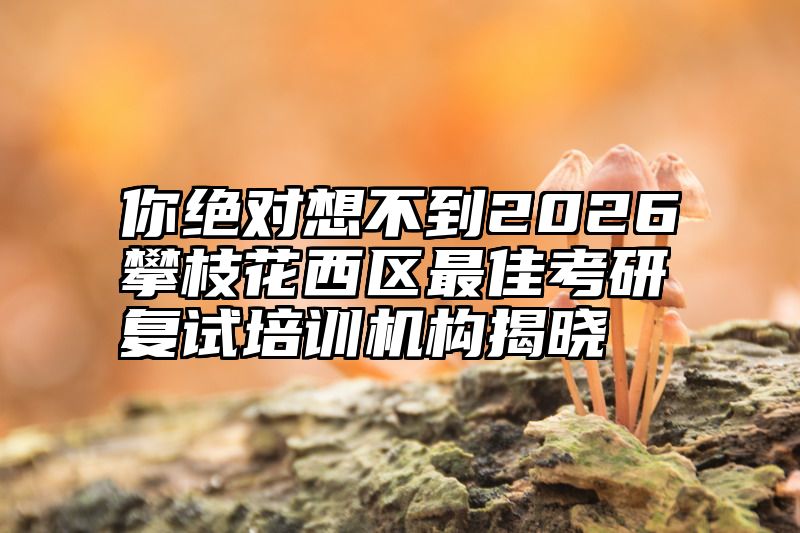 你绝对想不到2026攀枝花西区最佳考研复试培训机构揭晓