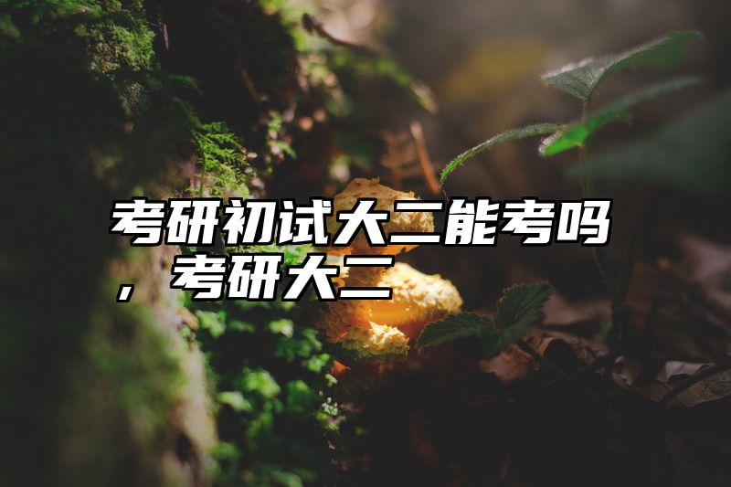 考研初试大二能考吗，考研大二