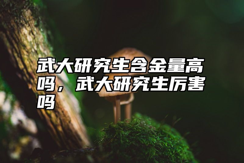 武大研究生含金量高吗，武大研究生厉害吗