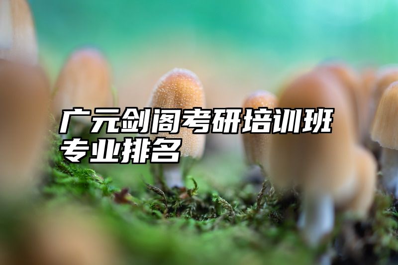 广元剑阁考研培训班专业排名