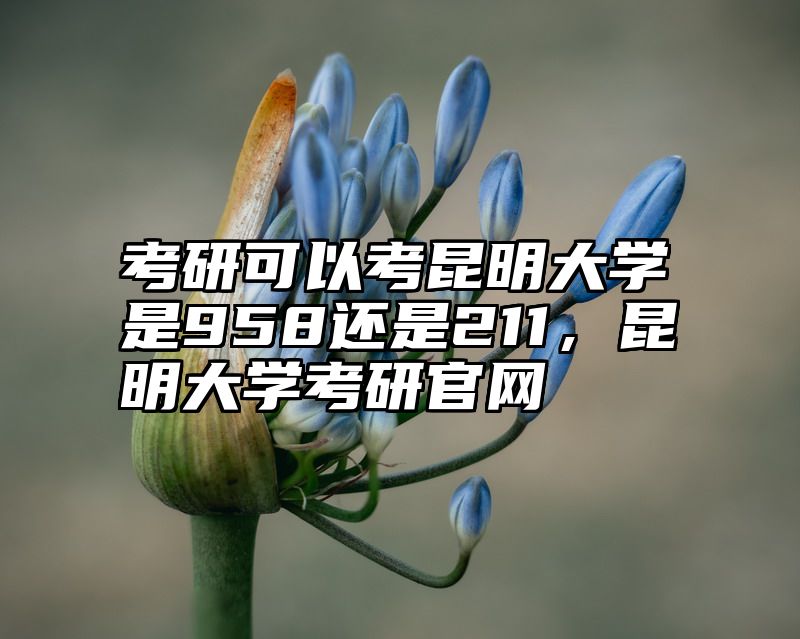 考研可以考昆明大学是958还是211，昆明大学考研官网