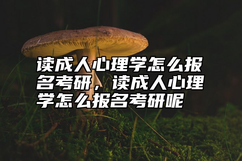 读成人心理学怎么报名考研,读成人心理学怎么报名考研呢