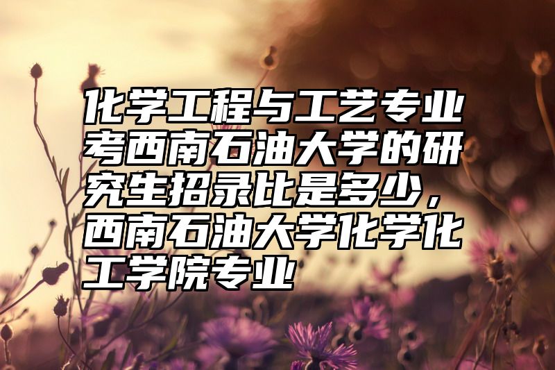 化学工程与工艺专业考西南石油大学的研究生招录比是多少，西南石油大学化学化工学院专业