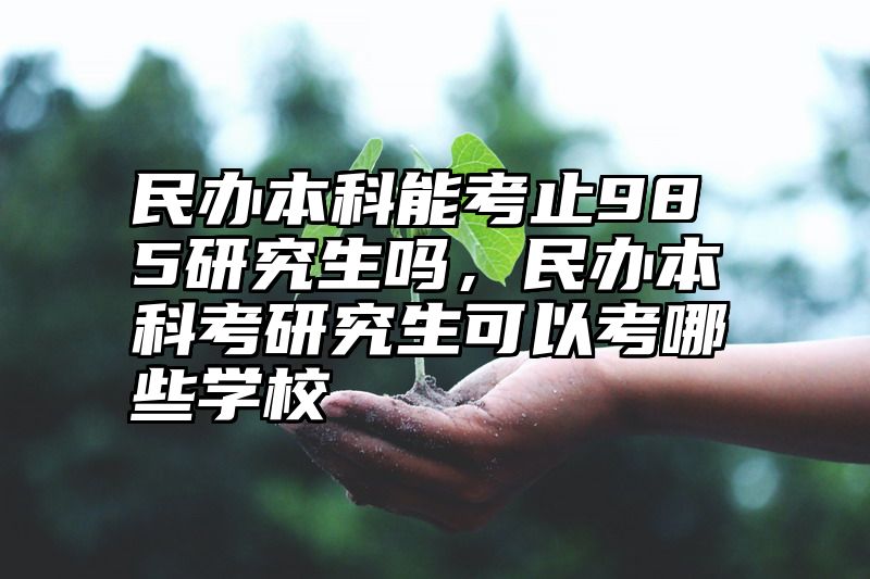 民办本科能考止985研究生吗，民办本科考研究生可以考哪些学校
