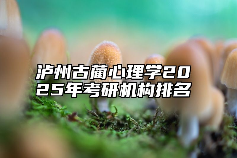 泸州古蔺心理学2025年考研机构排名