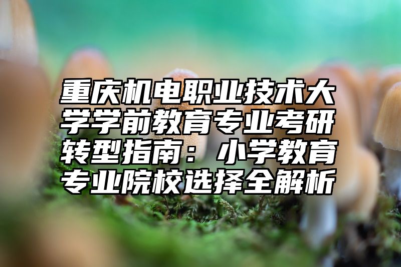 重庆机电职业技术大学学前教育专业考研转型指南：小学教育专业院校选择全解析