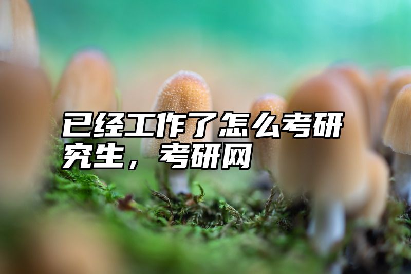 已经工作了怎么考研究生，考研网