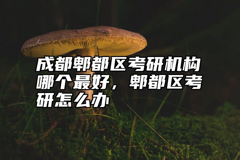 成都郫都区考研机构哪个最好，郫都区考研怎么办