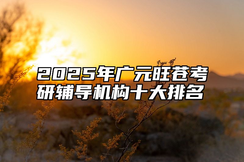 2025年广元旺苍考研辅导机构十大排名