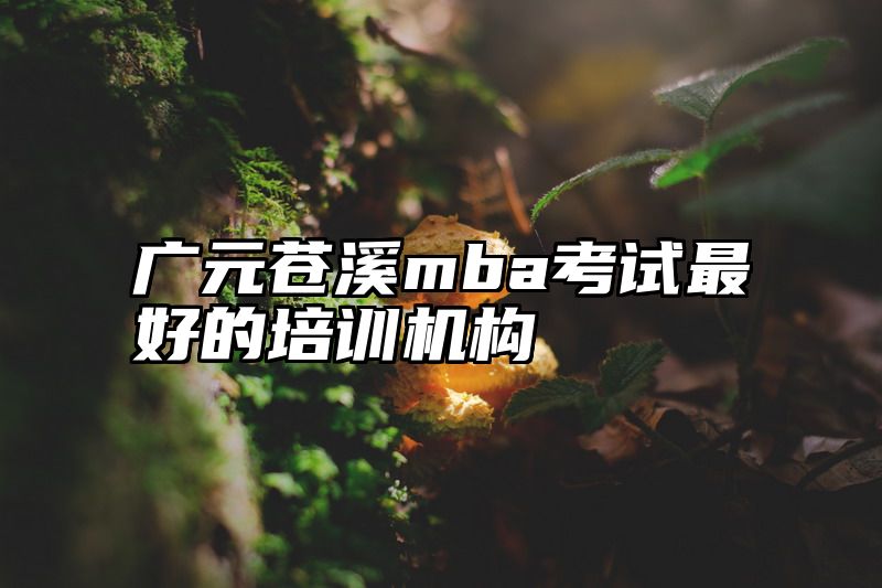 广元苍溪mba考试最好的培训机构