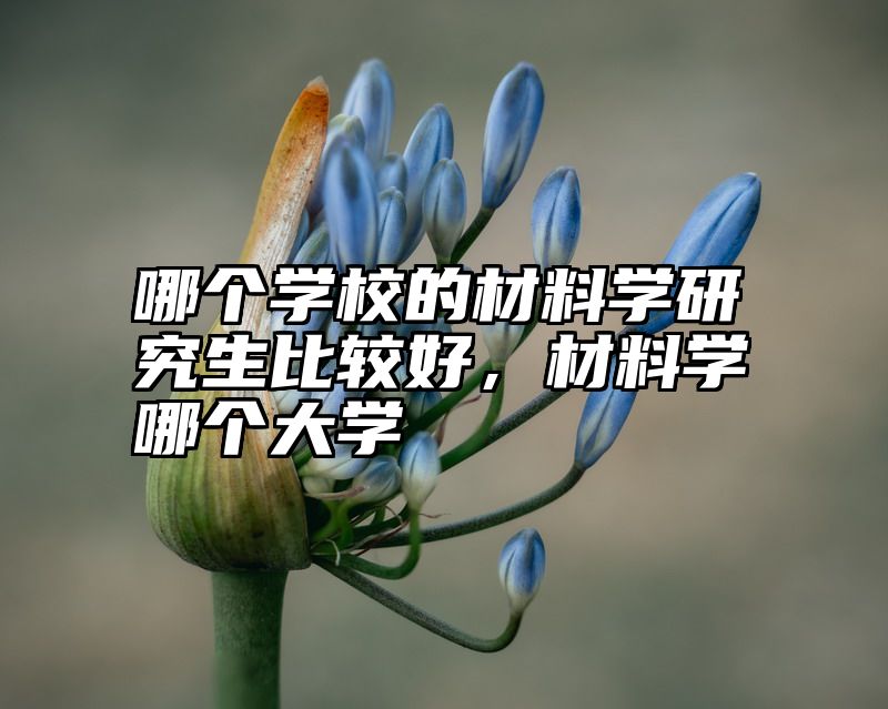 哪个学校的材料学研究生比较好，材料学哪个大学