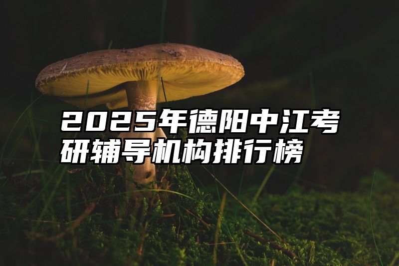 2025年德阳中江考研辅导机构排行榜