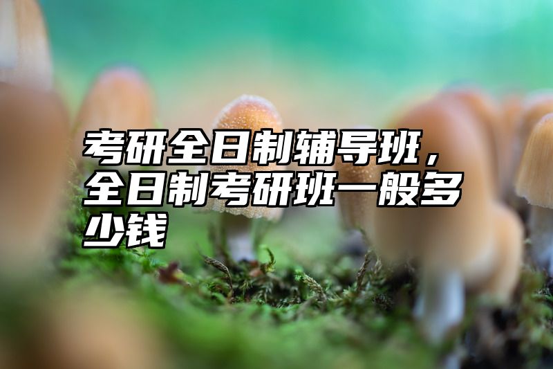 考研全日制辅导班,全日制考研班一般多少钱