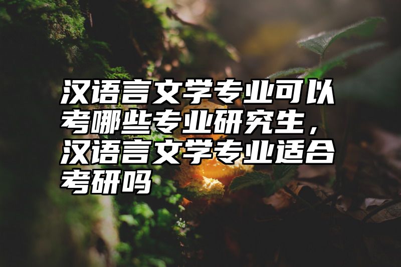 汉语言文学专业可以考哪些专业研究生，汉语言文学专业适合考研吗