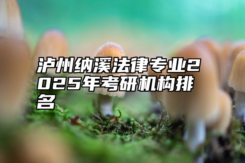 泸州纳溪法律专业2025年考研机构排名