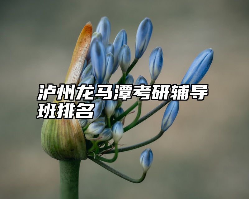 泸州龙马潭考研辅导班排名