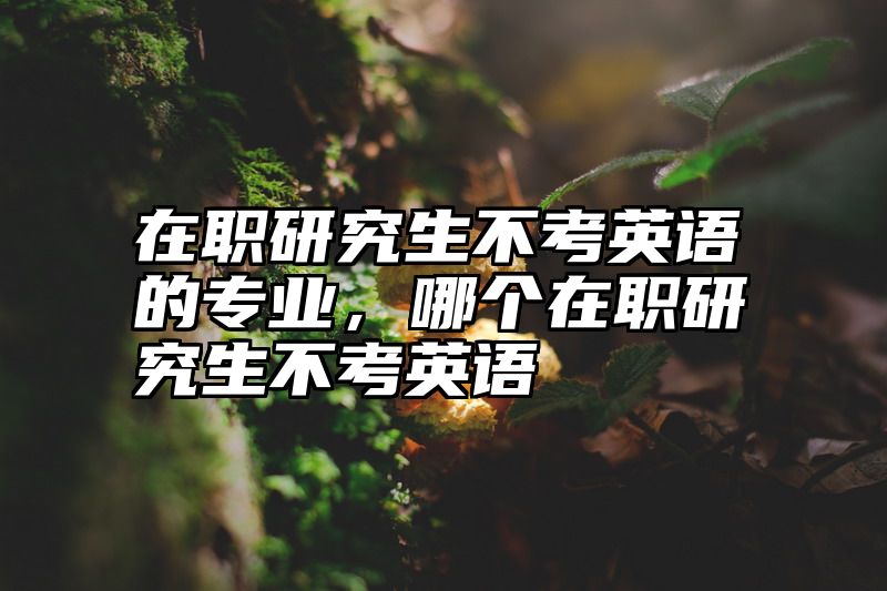 在职研究生不考英语的专业,哪个在职研究生不考英语