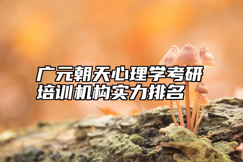广元朝天心理学考研培训机构实力排名