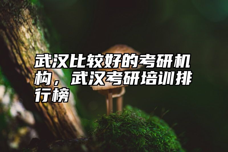 武汉比较好的考研机构,武汉考研培训排行榜