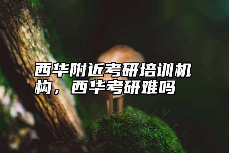 西华附近考研培训机构,西华考研难吗